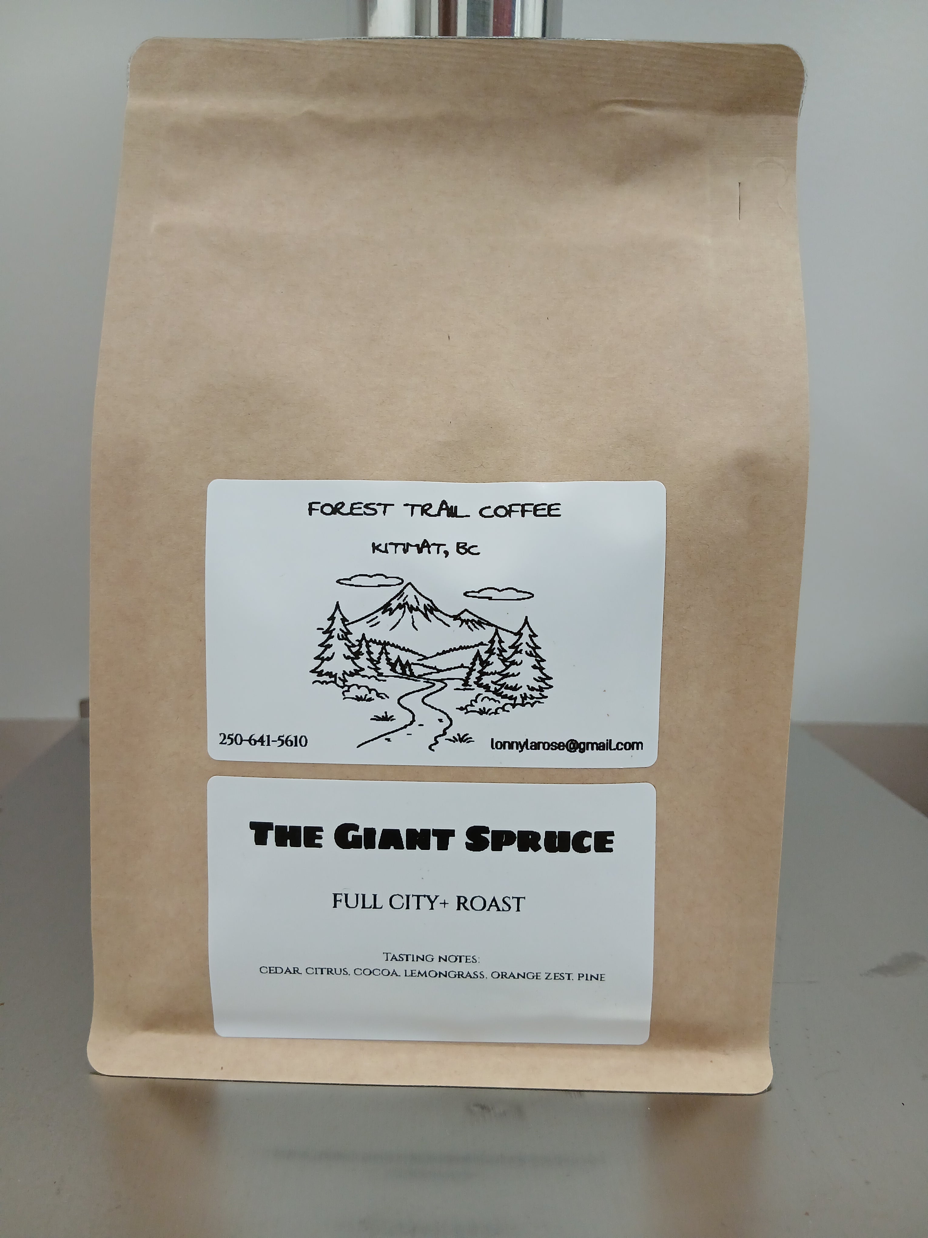 The Giant Spruce